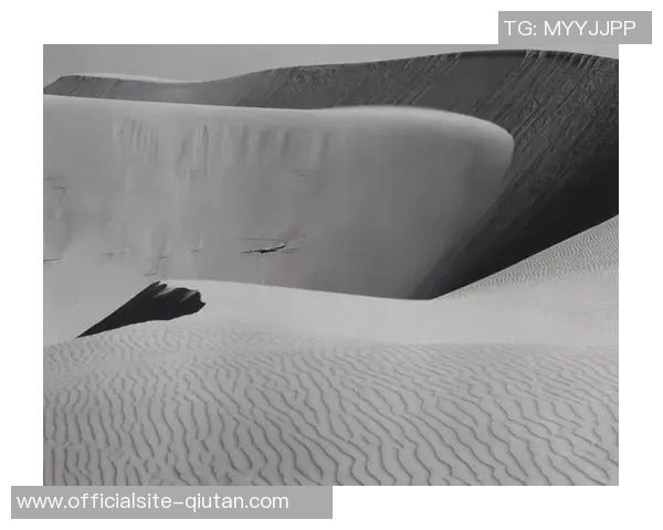 亚当斯的传奇人生与影响力探秘:从科学家到人类思想的引领者 亚当斯的传奇人生与影响力探秘:从科学家到人类思想的引领者